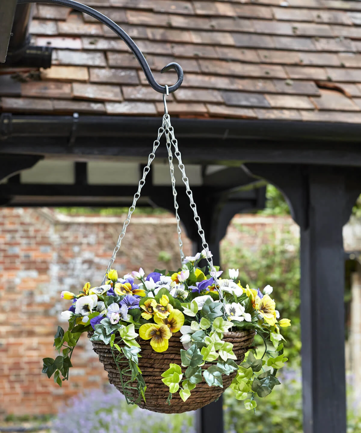 Easy Basket - Pansies - Hanging Basket 3 Easy Basket - Pansies - Hanging Basket