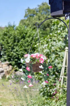 Easy Basket - Summer Bloom - Hanging Basket