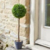Uno Ball Topiary Tree - 40cm -Fresh Gardenly Store 5045085 giant