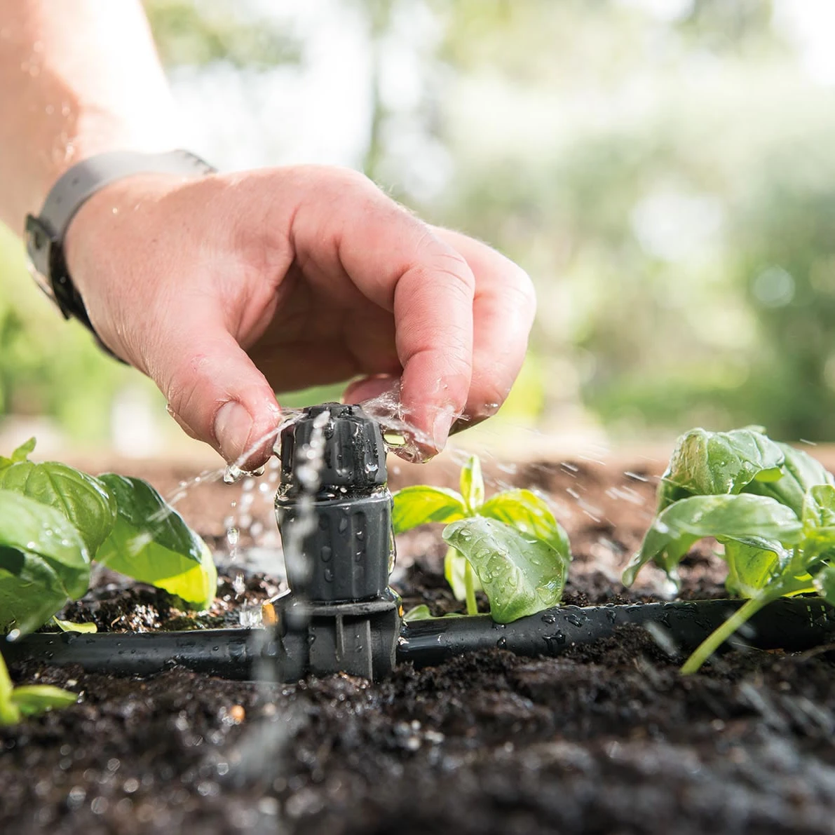 Hozelock Universal Adjustable Dripper - Pack Of 5 7 Hozelock Universal Adjustable Dripper - Pack Of 5 - Image 5