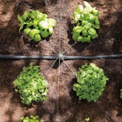 Hozelock Universal Adjustable Dripper - Pack Of 5 10 Hozelock Universal Adjustable Dripper - Pack Of 5 -Fresh Gardenly Store 7010 overhead 1