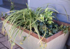 Kelkay Plant Avenue Urban Collection Irondale Trough In Silver -Fresh Gardenly Store 90300 angle giant