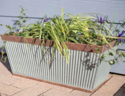 Kelkay Plant Avenue Urban Collection Irondale Trough In Silver -Fresh Gardenly Store 90300 life giant