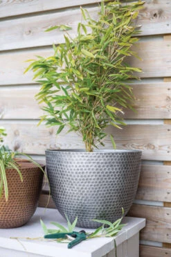 Kelkay Plant Avenue Urban Collection Large Elements Pot Gun Metal Grey -Fresh Gardenly Store 90351GM life 2 giant