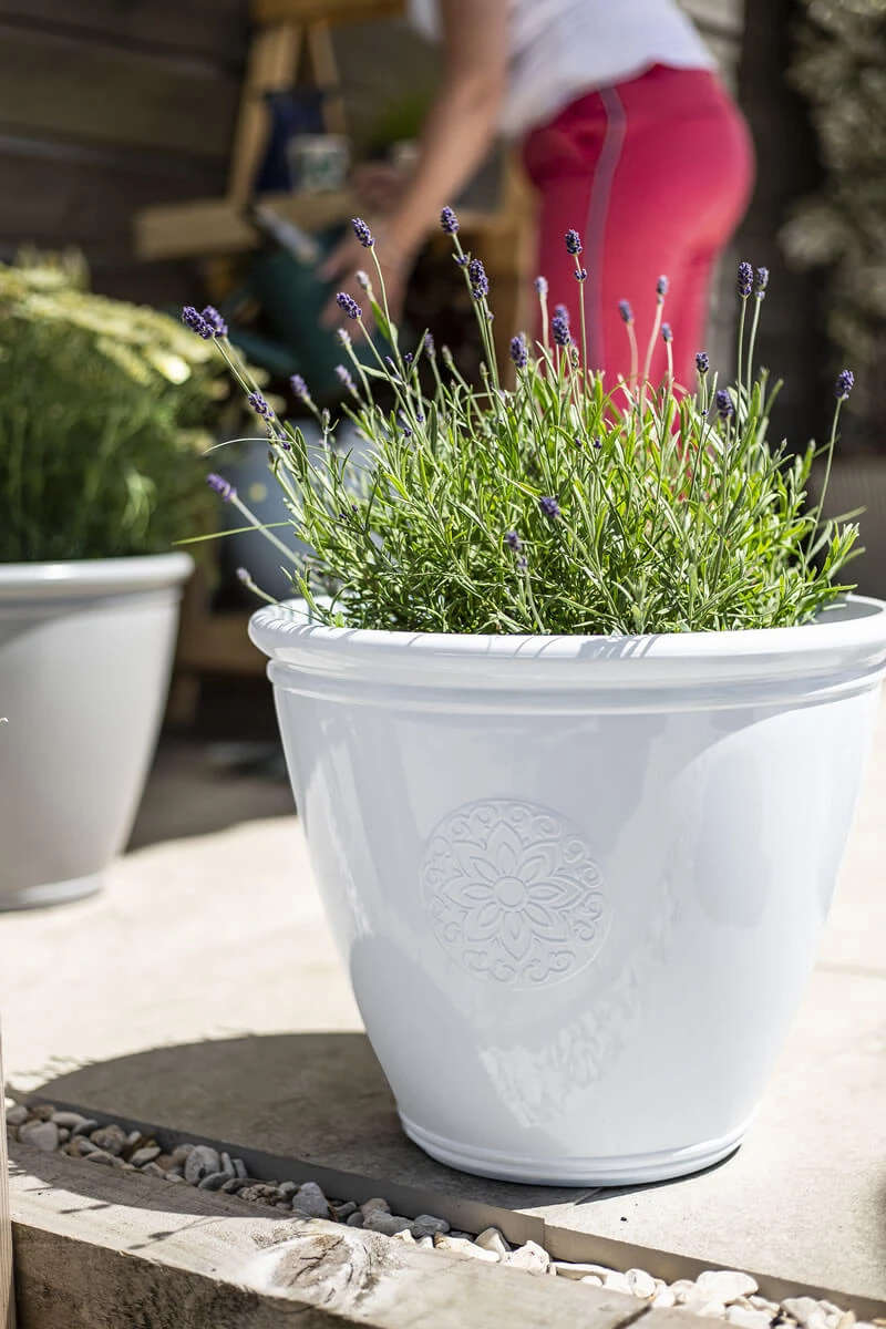 Kelkay Plant Avenue Trad. Collection Large Eden Emblem Pot In White 3 Kelkay Plant Avenue Trad. Collection Large Eden Emblem Pot In White