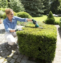 Bosch Isio III Shape And Edge Cordless Shears -Fresh Gardenly Store Isio detail large 2