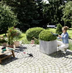 Bosch Isio III Shape And Edge Cordless Shears -Fresh Gardenly Store Isio detail large 3