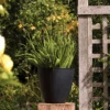 Stewart 40cm Low Round Basalt Planter 2 Stewart 40cm Low Round Basalt Planter -Fresh Gardenly Store L Stewert basalt planter 40 round