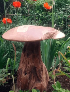Giant Mushroom