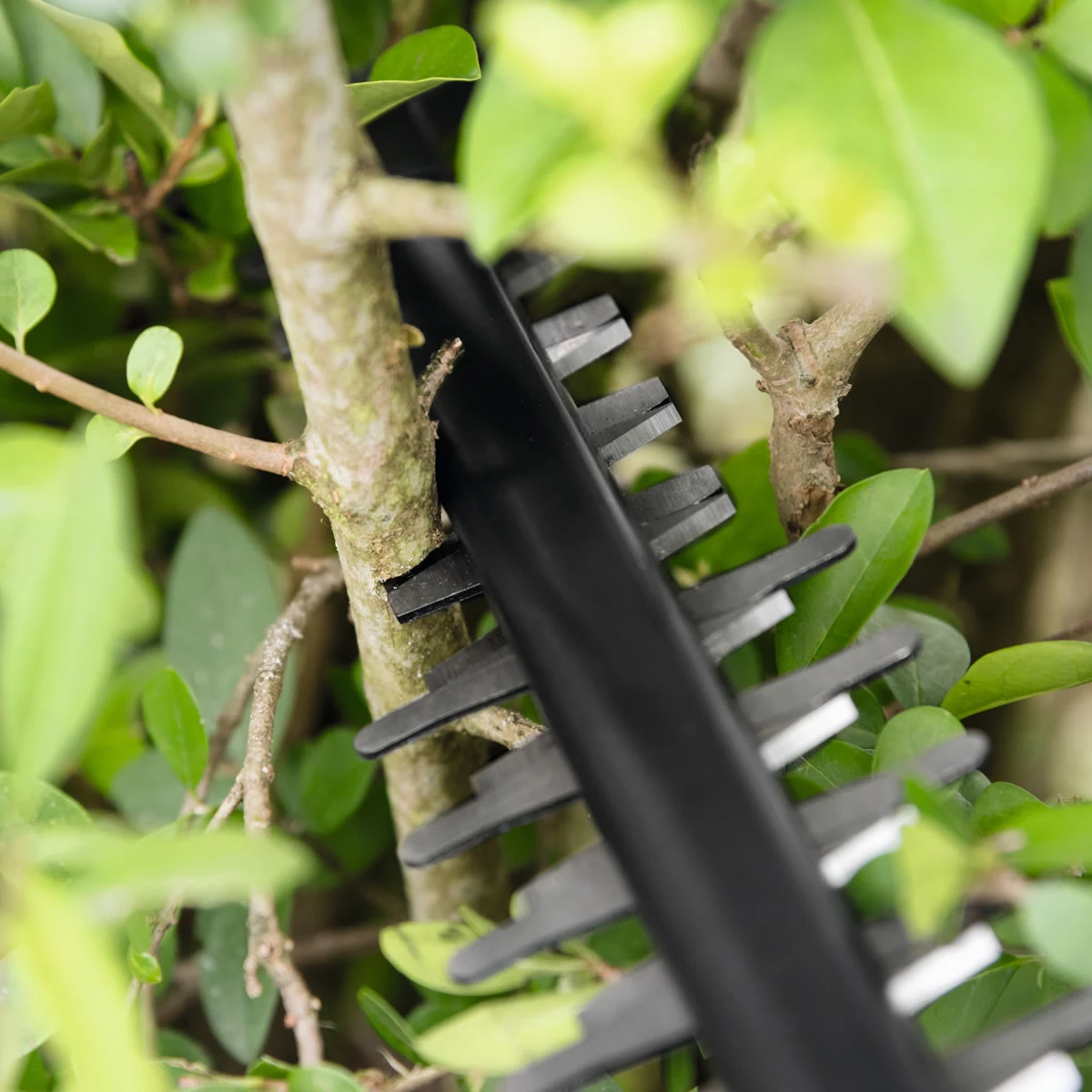 Bosch AHS 50-20 Li Cordless Hedge Trimmer 7 Bosch AHS 50-20 Li Cordless Hedge Trimmer - Image 5