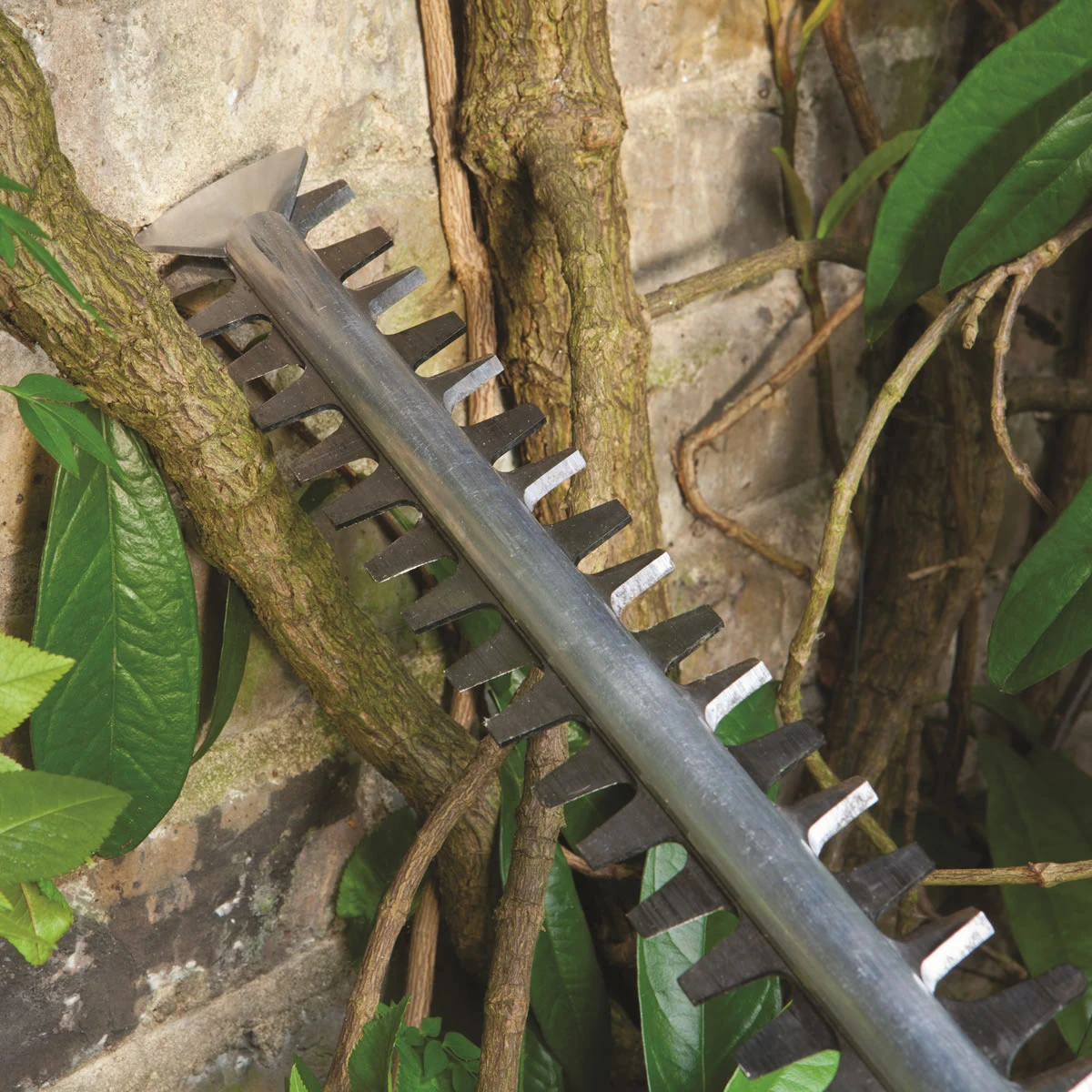 Bosch Electric Hedge Trimmer - AHS 50-26 6 Bosch Electric Hedge Trimmer - AHS 50-26 - Image 4