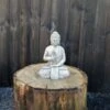 Meditating Buddha Ornament - BD8