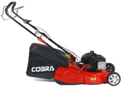Cobra 46cm SP Petrol Mower, Rear Roller, Briggs And Stratton Engine -Fresh Gardenly Store cobra RM46SPB side giant