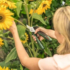 Bosch EasyPrune Electric Secateurs 10 Bosch EasyPrune Electric Secateurs -Fresh Gardenly Store easy prune lifestyle