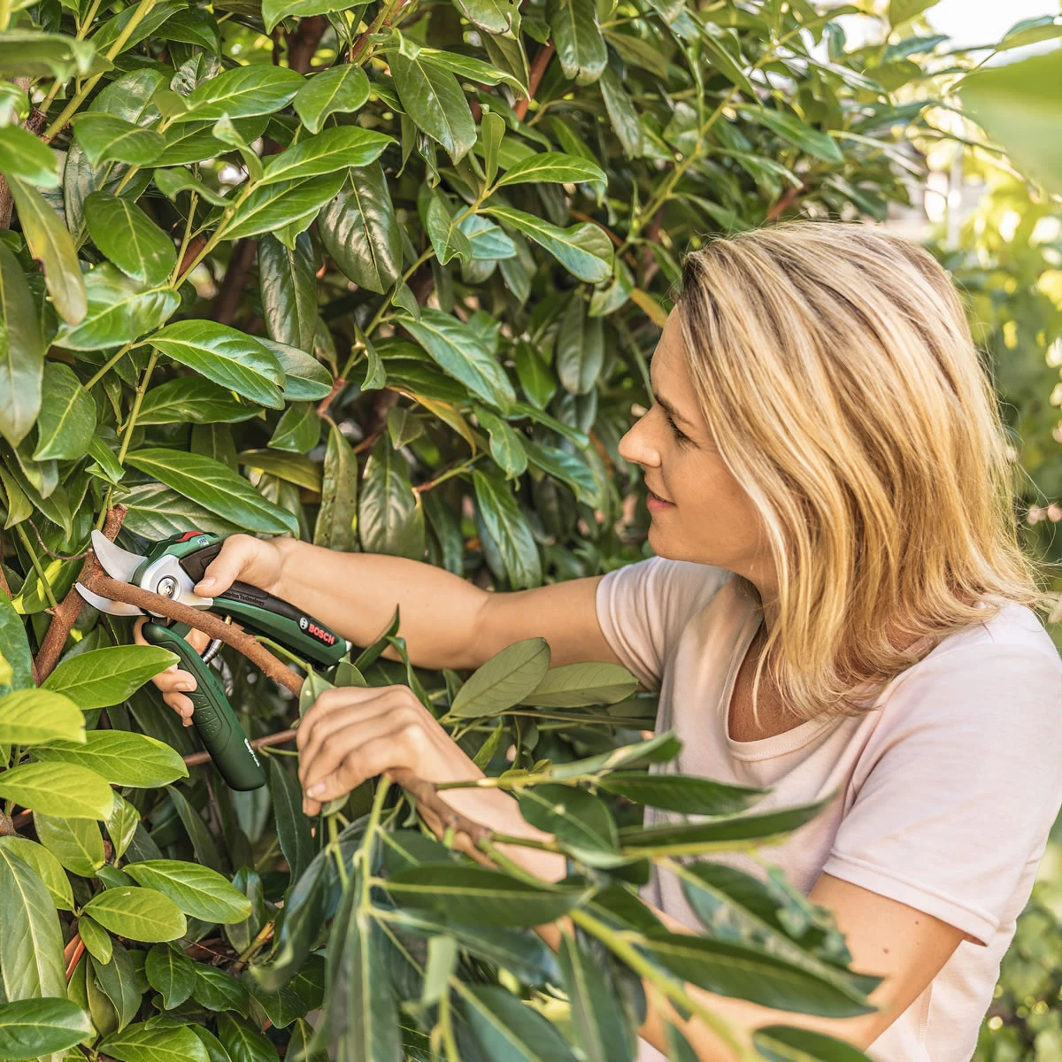 Bosch EasyPrune Electric Secateurs 7 Bosch EasyPrune Electric Secateurs - Image 5