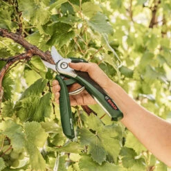 Bosch EasyPrune Electric Secateurs 11 Bosch EasyPrune Electric Secateurs -Fresh Gardenly Store easyprune life