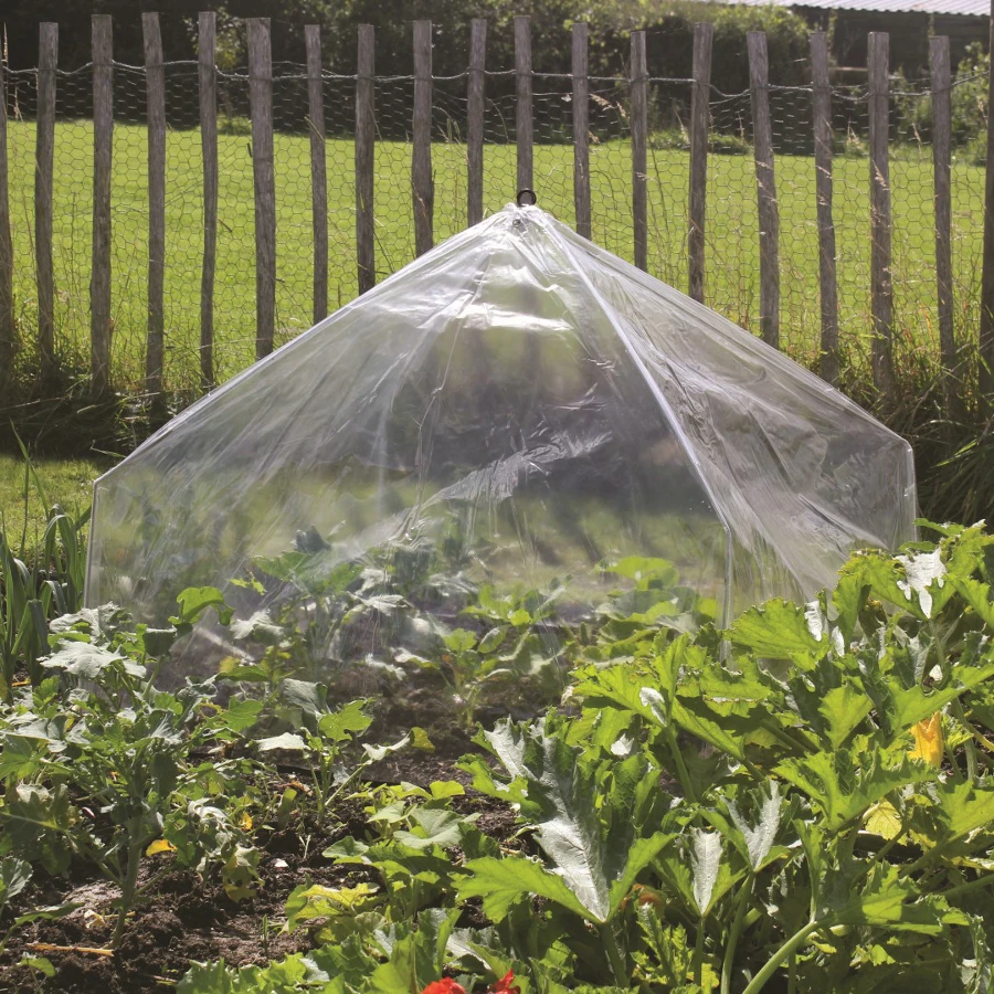 Haxnicks Giant Easy Lantern Cloche - Poly 3 Haxnicks Giant Easy Lantern Cloche - Poly