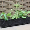 Haxnicks Vigoroot Long Planter -Fresh Gardenly Store haxnicks vigoroot long planter giant