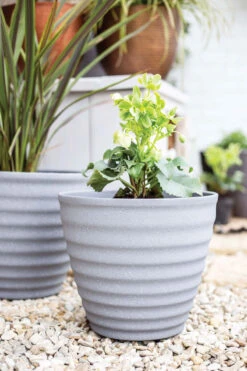 Kelkay Plant Avenue Stone Collection Large Hudson Pot In Grey -Fresh Gardenly Store hudson grey life giant