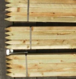 Rainbow Tree Defenders With Stakes - 120cm Tall - X10 7 Rainbow Tree Defenders With Stakes - 120cm Tall - X10 -Fresh Gardenly Store l 1.2 squares