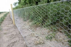 25m Long, 90cm Tall Roll Of Galvanised Chicken Wire Mesh - 50mm Mesh Size -Fresh Gardenly Store l 3aa0298e4625e3393fbdc8d429fe9bbd.image .500x333