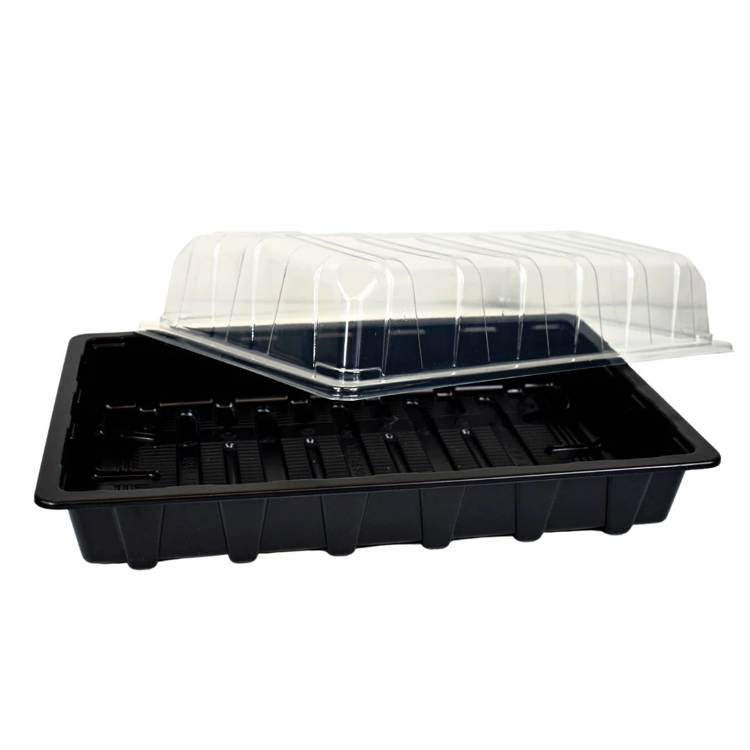 Nutley's Clear Plastic Full Size Seed Propagator Lid And Seed Tray - Tray: With Holes 3 Nutley's Clear Plastic Full Size Seed Propagator Lid And Seed Tray - Tray: With Holes