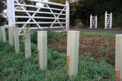 Rainbow Tree Defenders With Stakes - 75cm Tall - X10