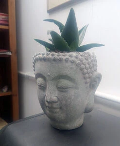 Buddha Head Planter - Stone Effect 13 Buddha Head Planter - Stone Effect -Fresh Gardenly Store l 613PzklPbFS. AC SL1000