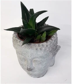Buddha Head Planter - Stone Effect 10 Buddha Head Planter - Stone Effect -Fresh Gardenly Store l 61s41P5kJpS. AC SL1000