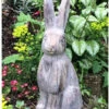 Medium Hare Garden Sculpture - Stone Effect -Fresh Gardenly Store l 715QFw2wBfL. AC SL1141