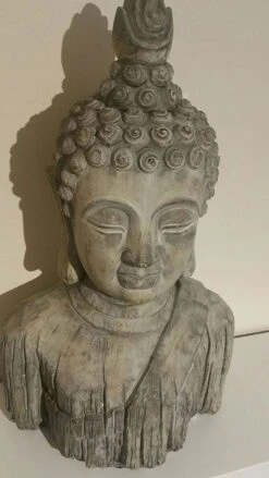 Buddha Head - Reinforced Concrete -Fresh Gardenly Store l 71KiJYpPaLL. AC SL1500