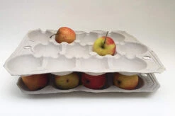 Nutley's 12 Hole Biodegradable Apple Trays -Fresh Gardenly Store l 81EFvx2 neL. SL1500 1024x1024@2x