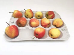 Nutley's 12 Hole Biodegradable Apple Trays -Fresh Gardenly Store l 81sauHxqv0L. SL1500 1024x1024@2x