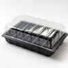 Nutleys 60 Cell Full Size Seed Propagator Set - Tray: With Holes -Fresh Gardenly Store l B0081S55US.MAIN 65d07dd7 77fa 48b5 b415 59743b82d6f6 1024x1024@2x