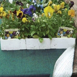 Nutley's 1m Wide Aquamat Capillary Matting 7 Nutley's 1m Wide Aquamat Capillary Matting -Fresh Gardenly Store l B0721Q6P2W.PT02 6dd6f892 29a5 4618 ad07 7a3d9add98d4 1024x1024@2x