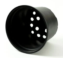 Nutley's 19cm 3 Litre Round Plastic Plant Pot -Fresh Gardenly Store l B073BP54P7.FRNT copy 1024x1024@2x