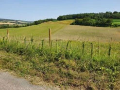 Biodegradable Spiral Tree Guards With Canes - 60cm X 38mm -Fresh Gardenly Store l Bio Spiral 4