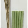 Biodegradable Spiral Tree Guards With Canes - 60cm X 38mm -Fresh Gardenly Store l Bio Spiral with Canes