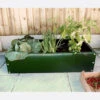 Everlasting Green Raised Bed 100cm Long X 100cm Wide -Fresh Gardenly Store l ERB1 1