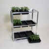 Economy Seed Tray Rack 1 Economy Seed Tray Rack -Fresh Gardenly Store l ESTR3ST1