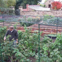 Deluxe Fruit Cage 183cm High X 732cm Wide X 1645cm Long