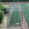 Standard Fruit Cage 183cm High X 183cm Wide X 183cm Long