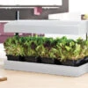 Garland Grow Light Garden Propagator -Fresh Gardenly Store l GAL612