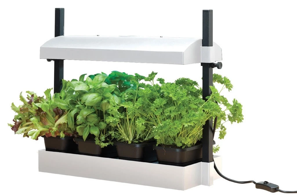 Garland Micro Grow Light Garden Propagator 3 Garland Micro Grow Light Garden Propagator