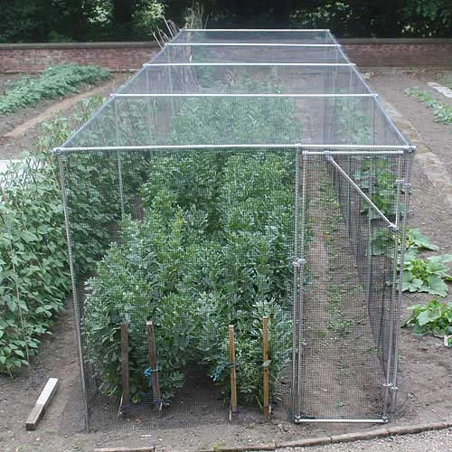 Heavy Duty Fruit Cage 213cm X 488cm X 1219cm With Bird Netting 3 Heavy Duty Fruit Cage 213cm X 488cm X 1219cm With Bird Netting