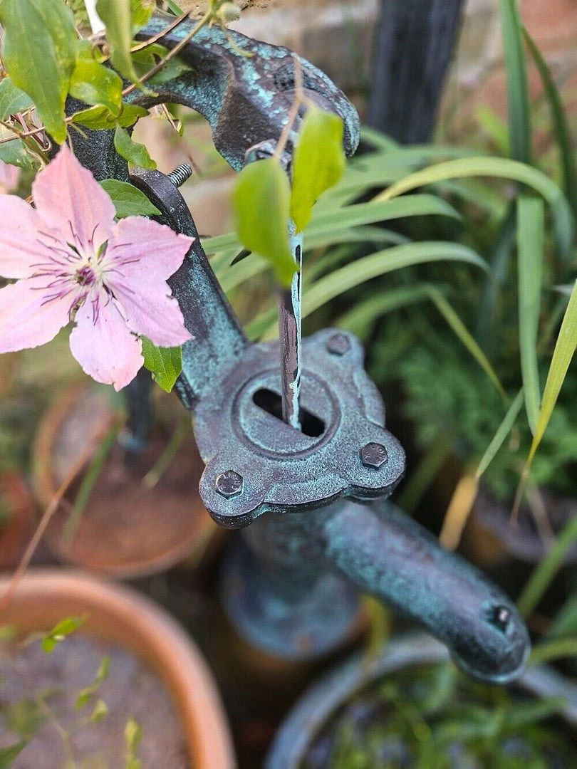 Cast Iron Garden Hand Water Pump 4 Cast Iron Garden Hand Water Pump - Image 2