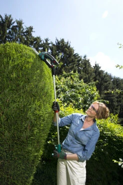 Bosch Isio III (3) Telescopic Handle -Fresh Gardenly Store l Isio 3 Telescopic Handle lifestyle3