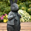 44cm Peter Rabbit Superb Sculpture Garden Ornament Solid Resin Beatrix Potter -Fresh Gardenly Store l Peter Rabbit 1