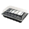 Nutley's 40 Cell Full Size Seed Propagator Set - Tray: With Holes -Fresh Gardenly Store l Photo18 02 2016 134231 1024x1024@2x