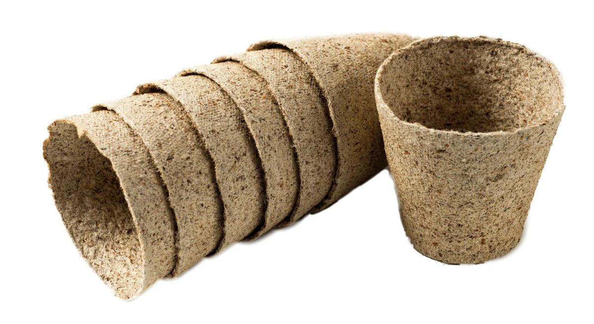 Nutley's 6cm Round Jiffy Peat-Free Fibre Plant Pot 4 Nutley's 6cm Round Jiffy Peat-Free Fibre Plant Pot - Image 2